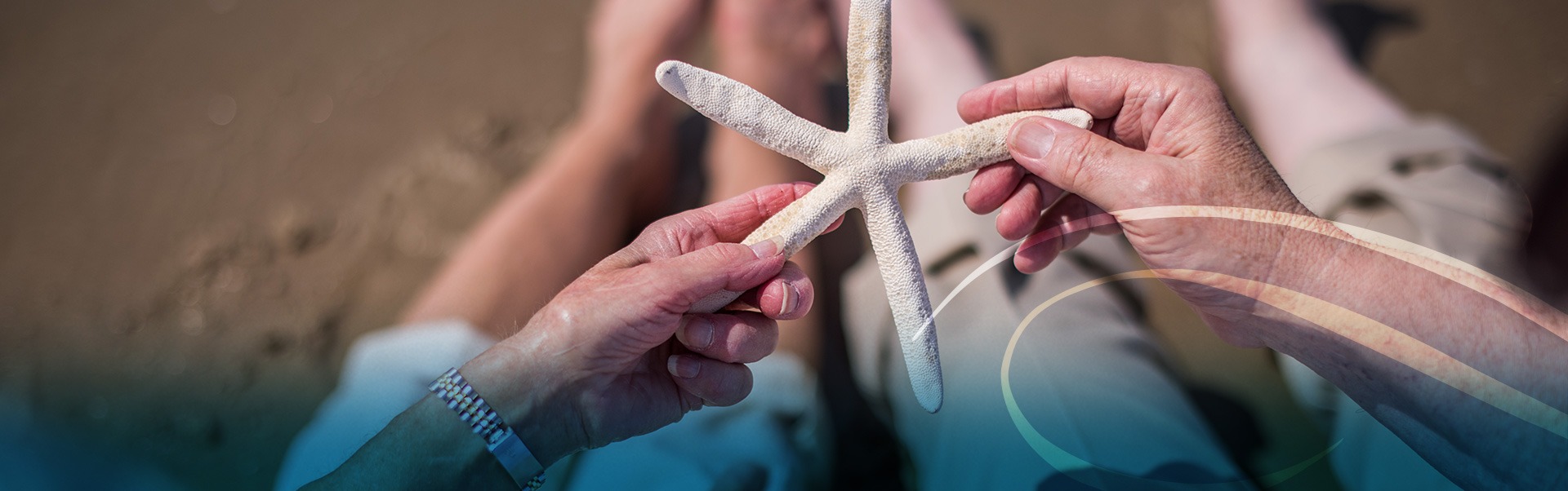 Person Holding a Starfish on the Beach