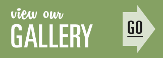 Button that says "View our Gallery"