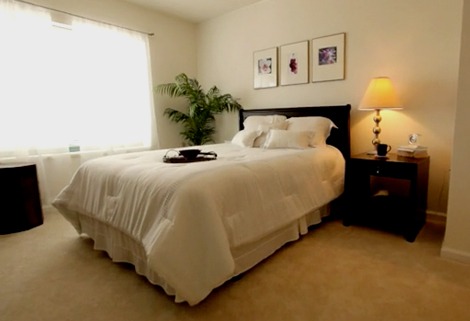 A cozy bedroom with a large bed covered in white linens. A dark bedside table with a lamp and books is on the right. Three framed artworks hang above the bed. A potted plant sits in the corner by a window with sheer curtains.