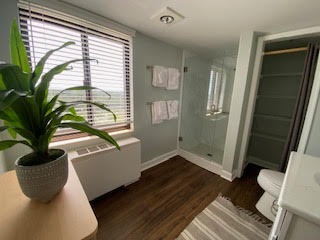 A bright bathroom with a potted plant on a wooden cabinet, a window with blinds, and a glass shower. Two white towels hang on the wall. The floor is hardwood with a striped rug, and theres a toilet next to a light-colored countertop.