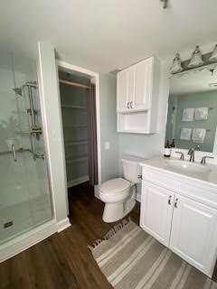 A modern bathroom featuring a glass-enclosed shower, a toilet beside a white vanity with a sink and mirror above, an open towel closet, and wood-look flooring. The room is painted in a light green color, and a striped rug lies on the floor.