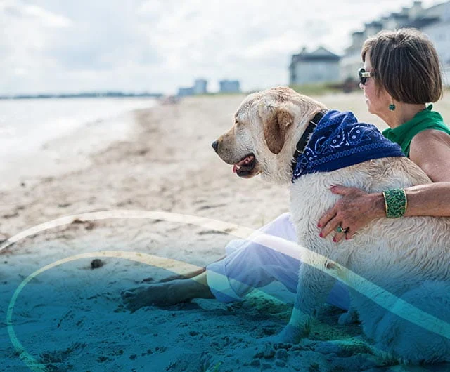 A woman sitting on the sandy beach with her dog by her side, both gazing at the calm water
