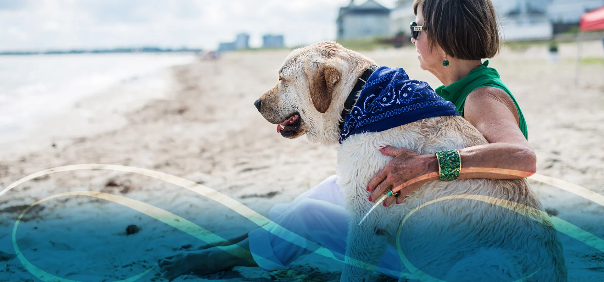 A woman sitting on the sandy beach with her dog by her side, both gazing at the calm water