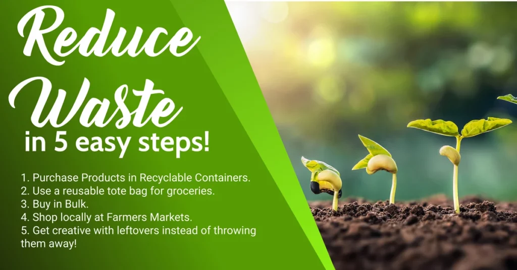 A green banner reads Reduce Waste in 5 easy steps! next to a photo of small plant seedlings growing in soil. The steps include using recyclable containers, tote bags, buying in bulk, shopping locally, and using leftovers creatively.